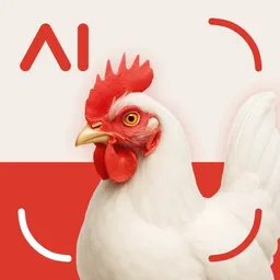 Chicken Identifier app icon