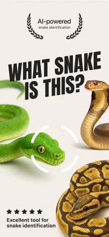 Snake Identifier screenshot 1