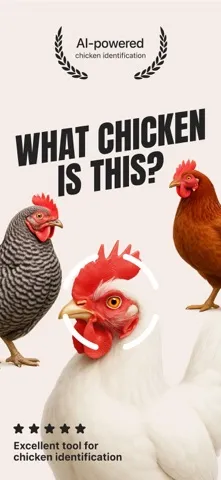 Chicken Identifier App Store screenshot