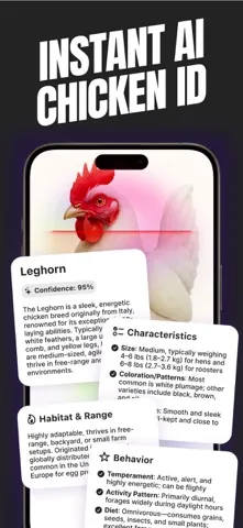 Chicken Identifier screenshot 3