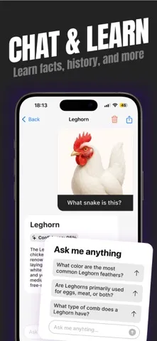 Chicken Identifier screenshot 4