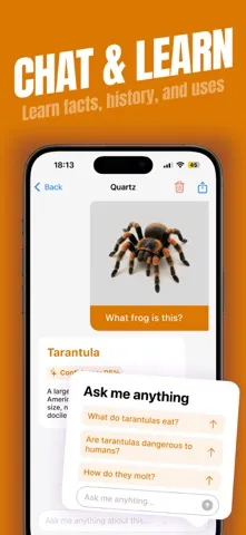 Spider Identifier screenshot 4