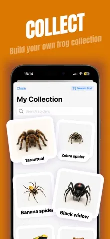 Spider Identifier screenshot 5