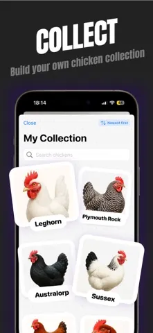 Chicken Identifier screenshot 5